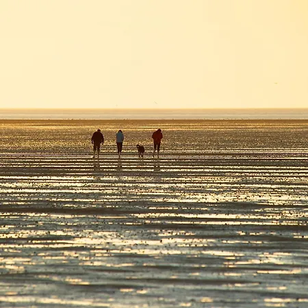 Penthouse De Stoeoer ドルム・ノイフェルト