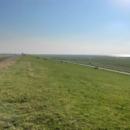 Penthouse De Stoeoer