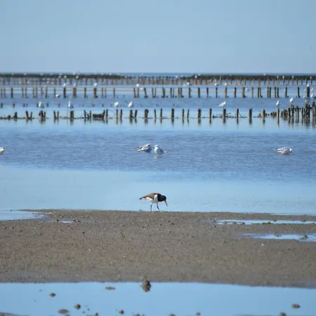 Penthouse De Stoeoer 도룸 노이펠트