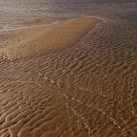 Penthouse De Stoeoer 아파트 *