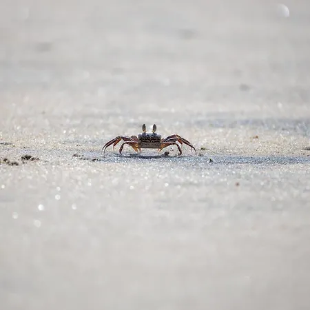 Penthouse De Stoeoer ドルム・ノイフェルト
