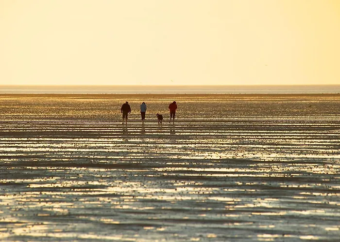 Penthouse De Stoeoer دورم نيوفيلد