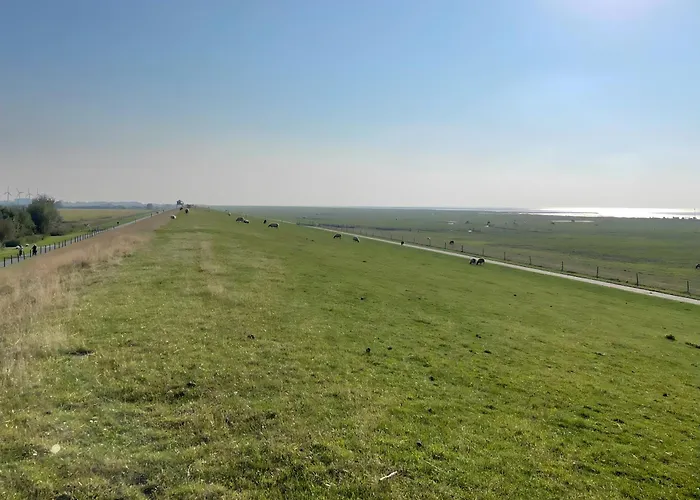 Penthouse De Stoeoer