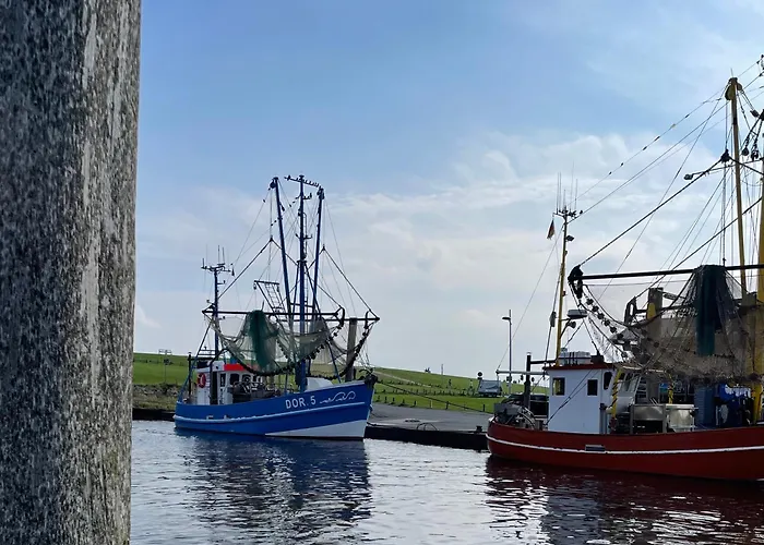 شقة Penthouse De Stoeoer *