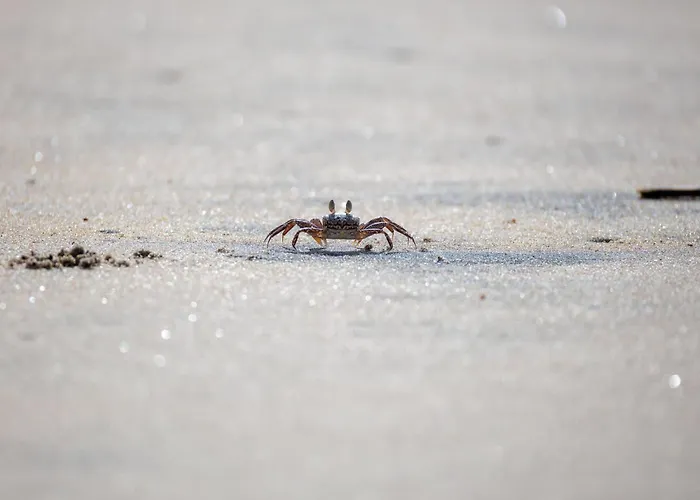 Penthouse De Stoeoer دورم نيوفيلد